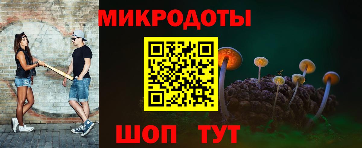Губкинский  Галлюциногенные грибы Psilocybe  Вход с VPN  Галлюциногенные грибы прущие грибы 