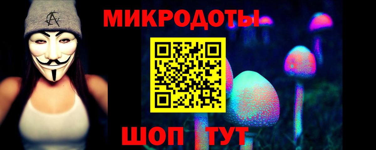 Галлюциногенные грибы мицелий Губкинский